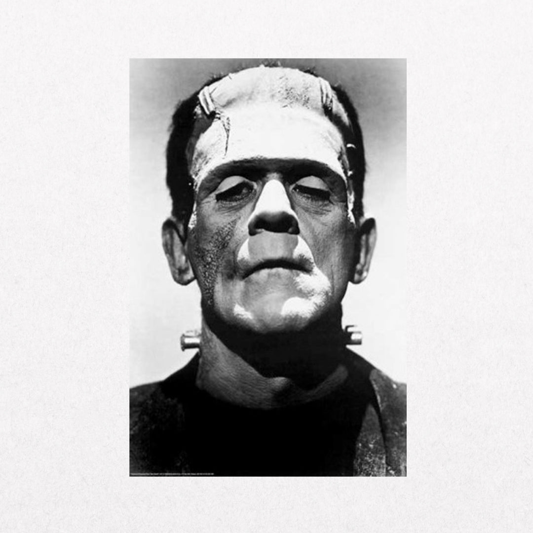 Frankenstein - Portrait