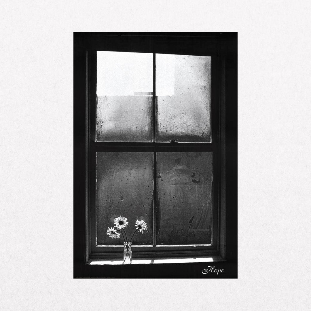 Window - Hope
