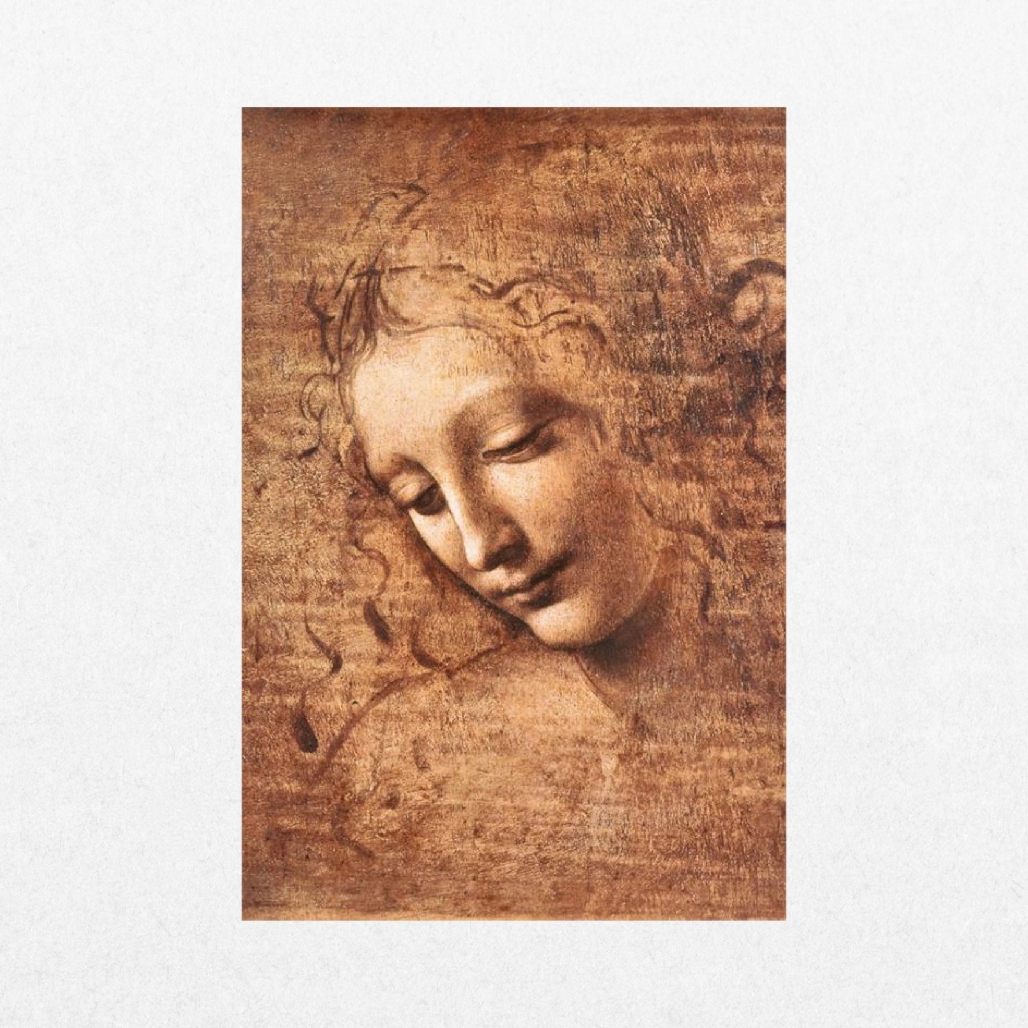 Leonardo da Vinci - La Scapigliata, 1508 - El Cartel