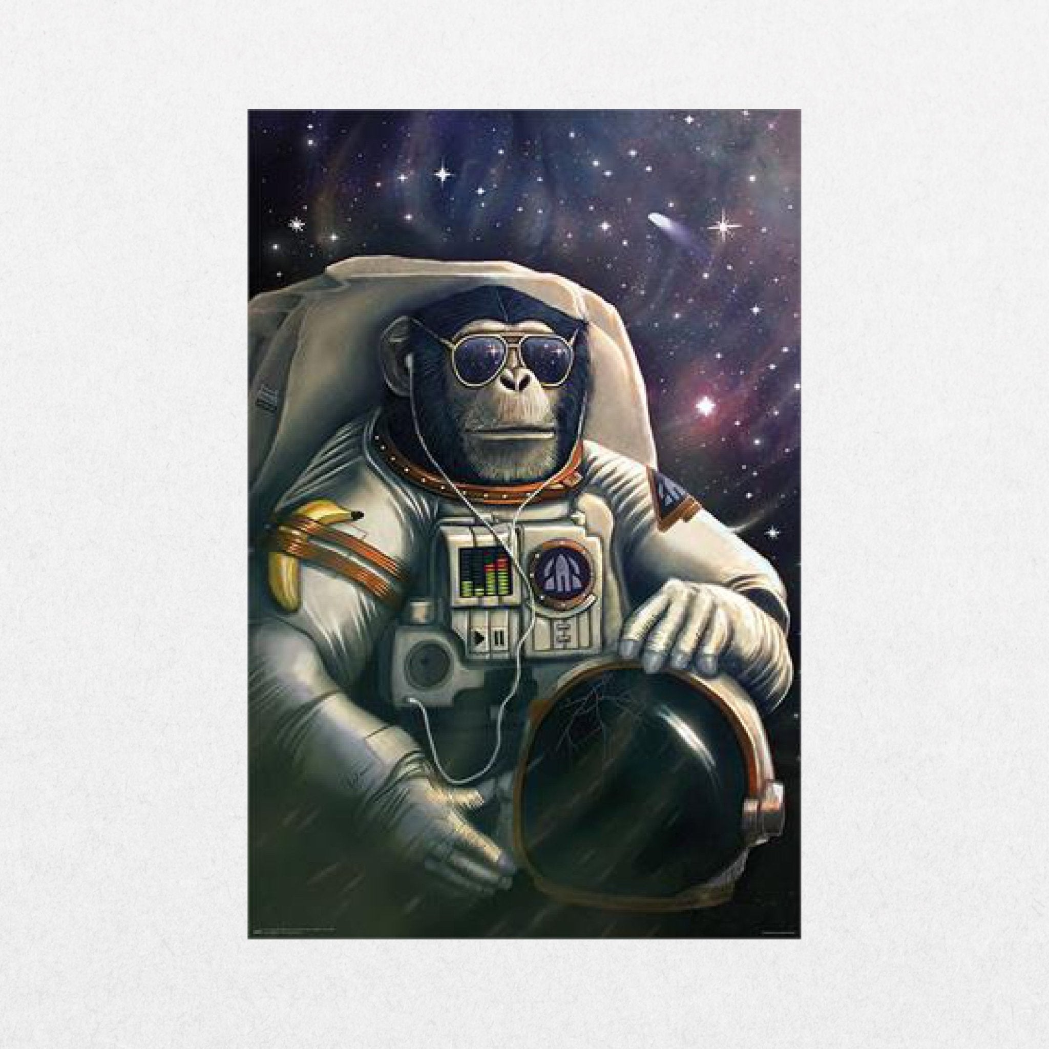 Space Monkey - No Gravity - El Cartel