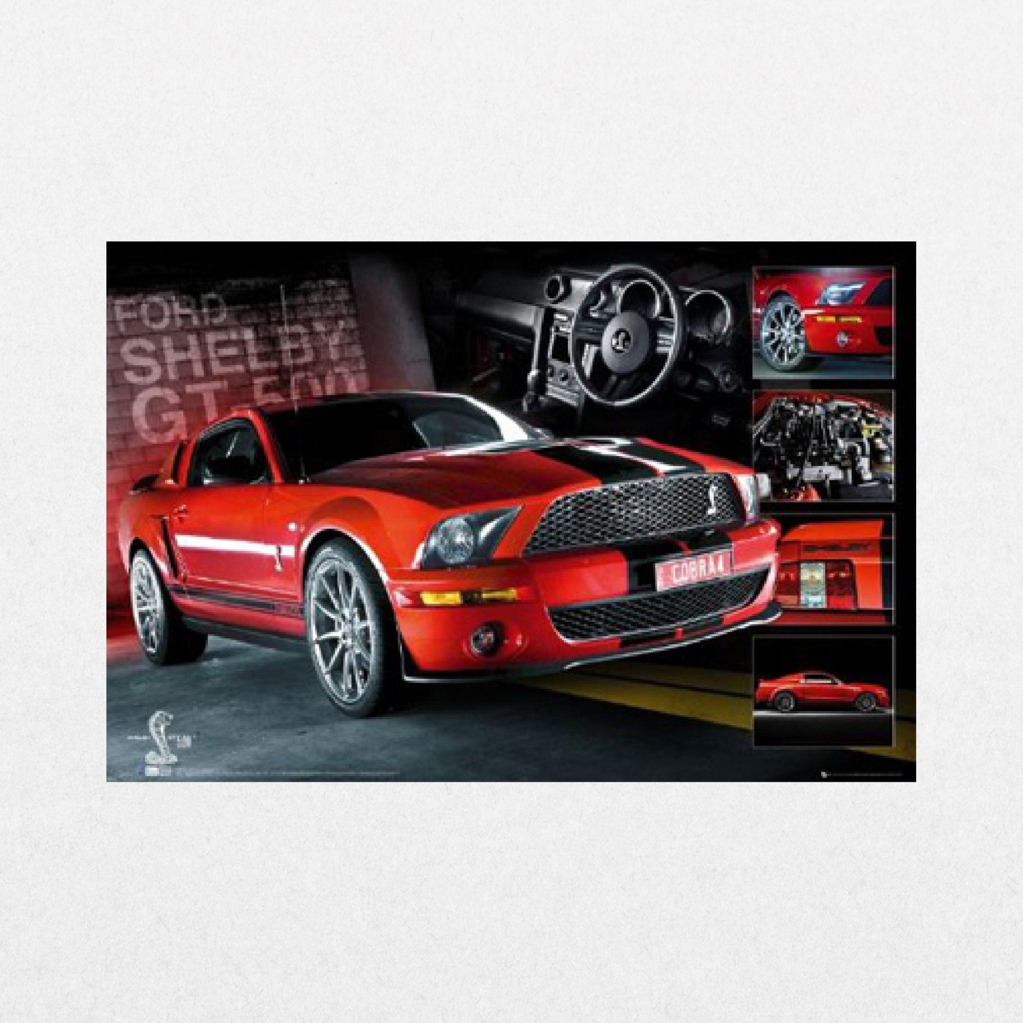 Mustang - Easton Red - El Cartel