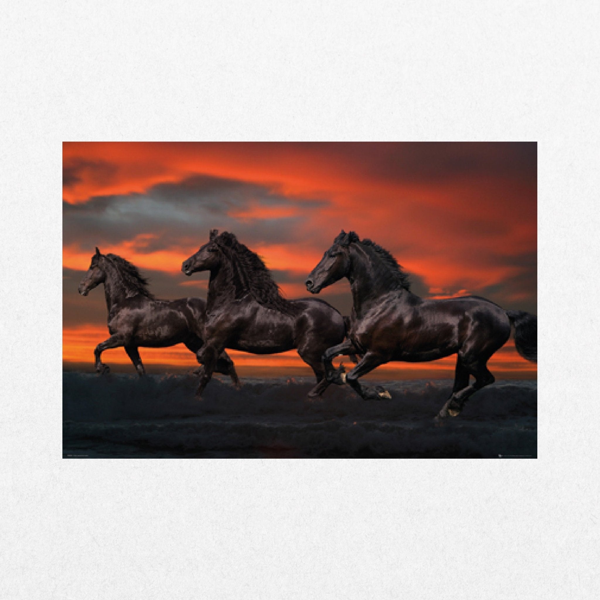 Fantasy Black Horses - Bob Langrish - El Cartel
