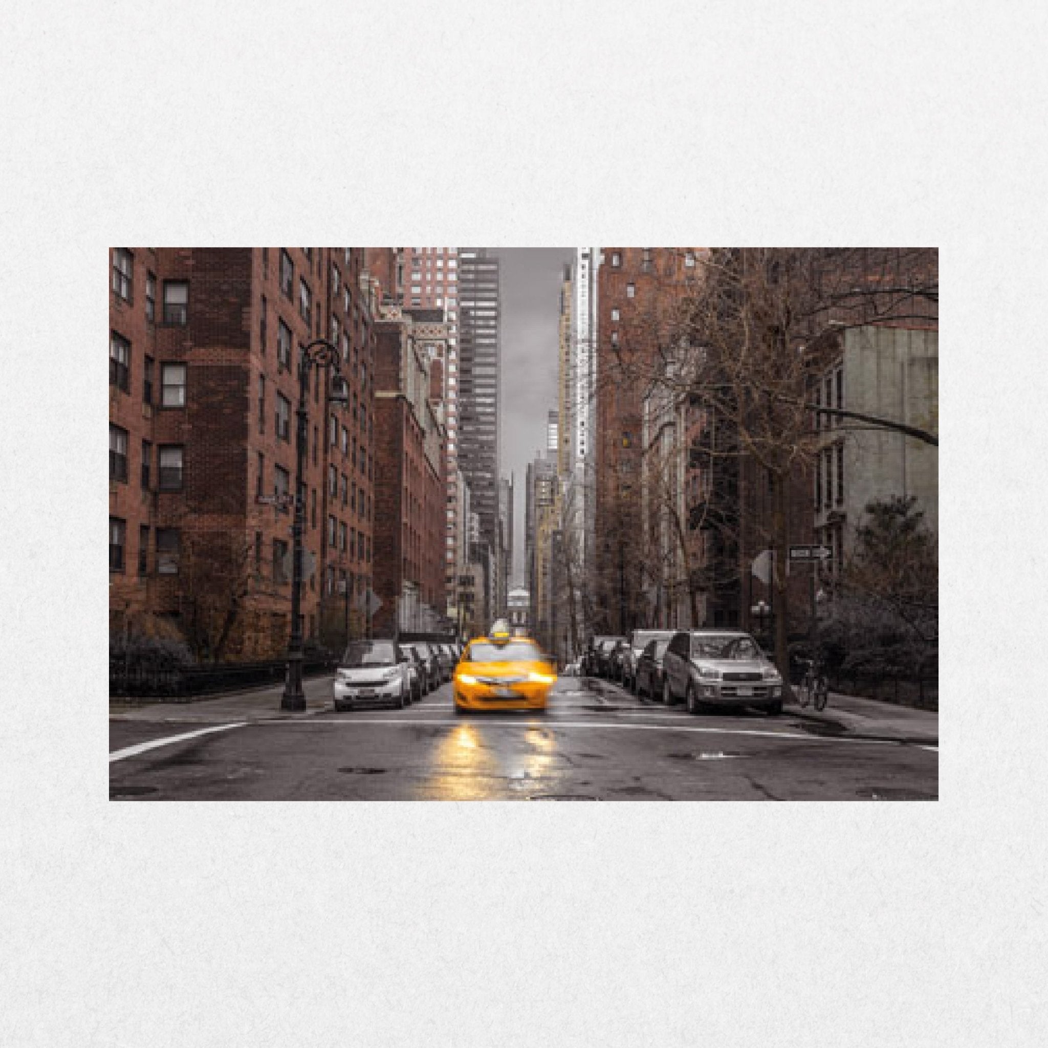 NYC Taxi - Assaf Frank - El Cartel