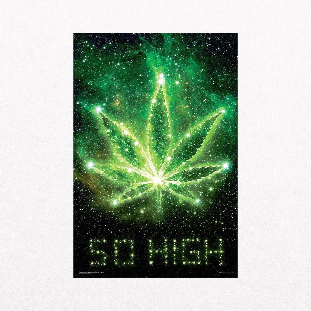 Cannabis - SoHigh - el cartel