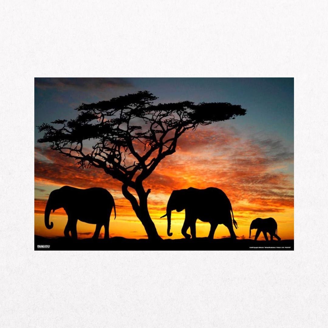 Elephants - AfricanSunset - el cartel