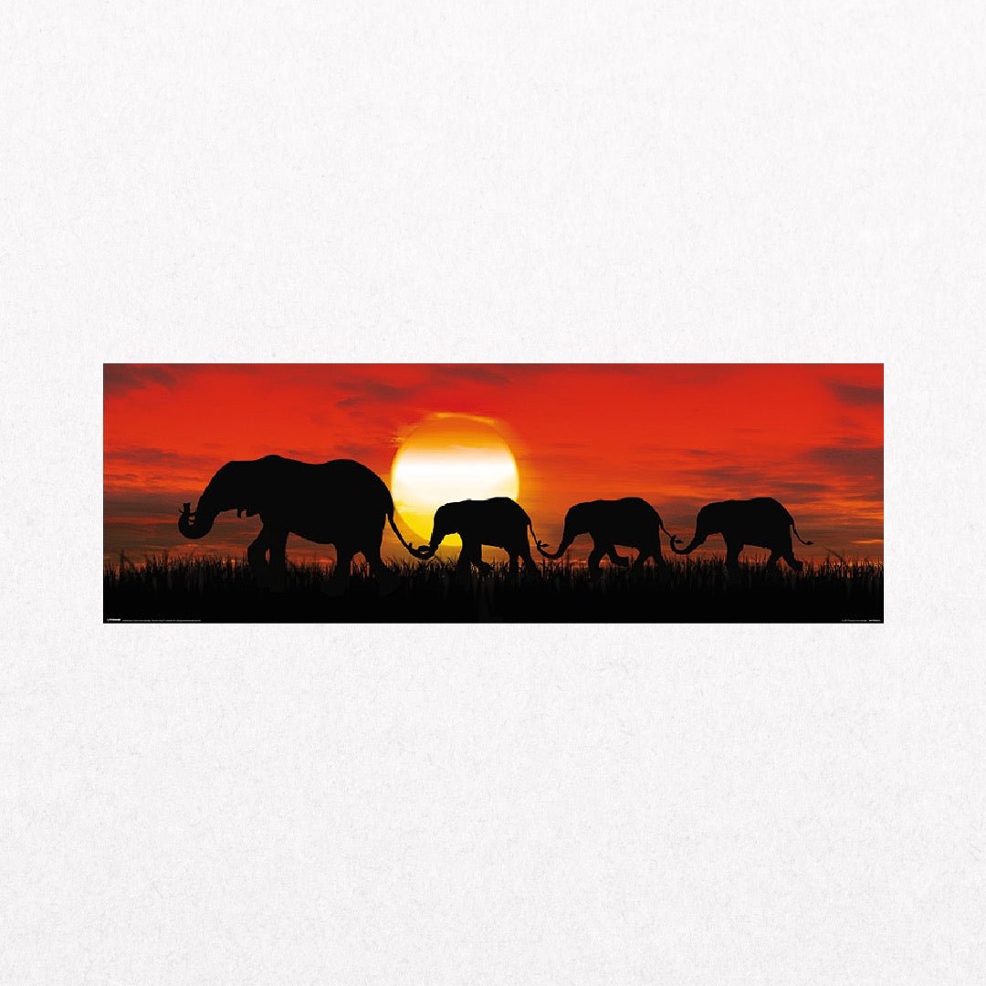 Elephants - SunsetSlim - el cartel