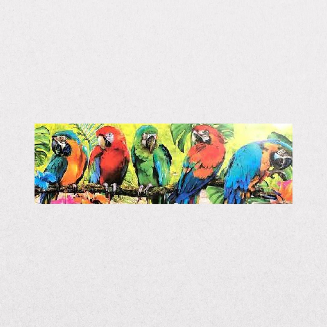 MichaelTarin - Macaw - el cartel