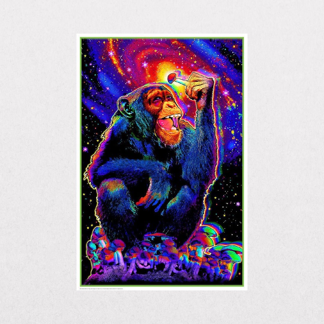 Monkey - Mushroom - el cartel