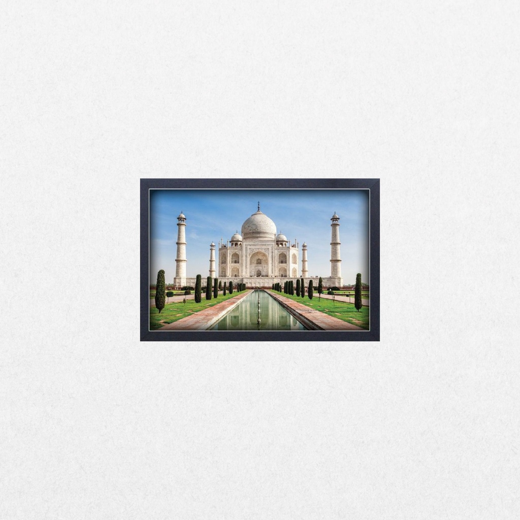 Taj Mahal India - El Cartel