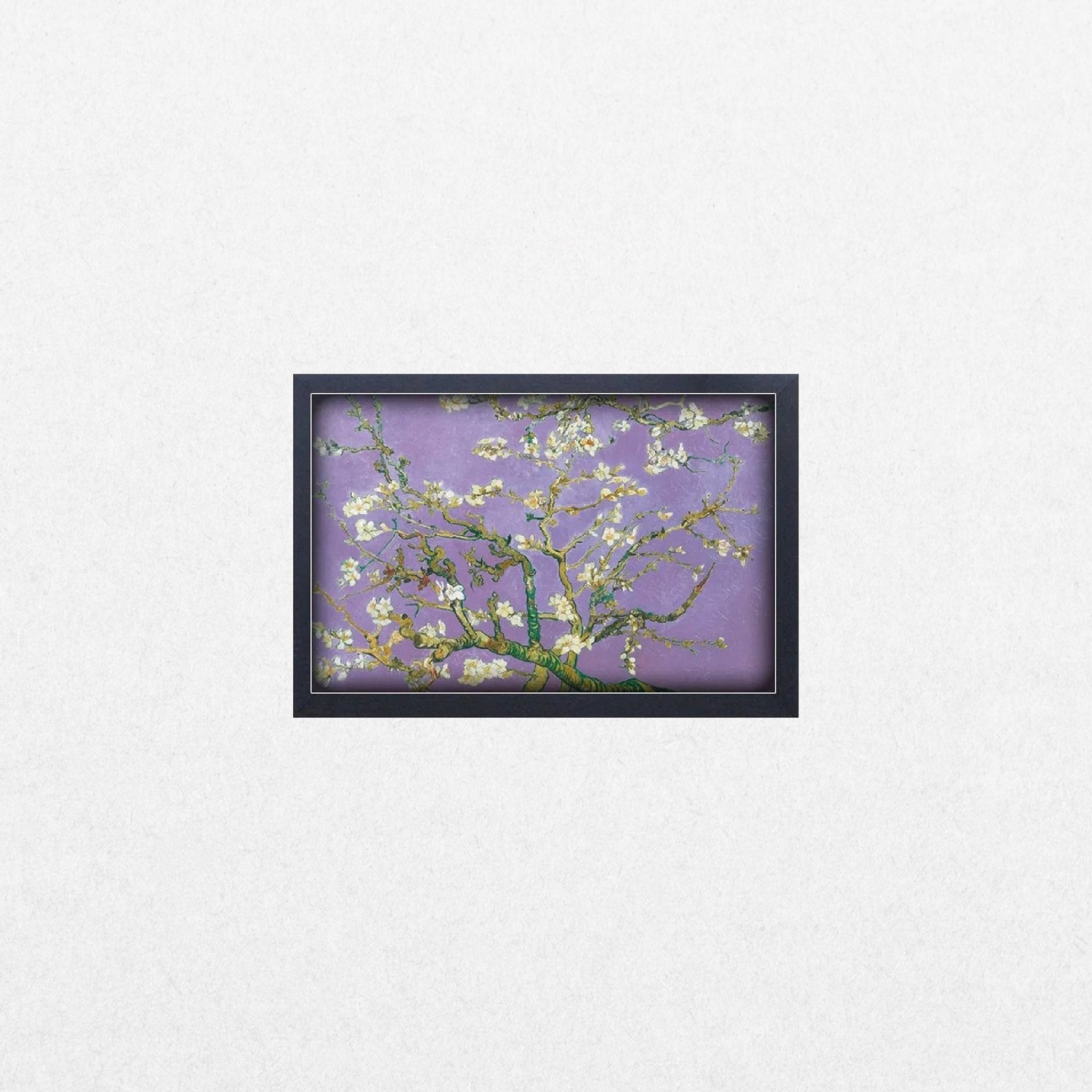 Almond Blossom - Lavender - El Cartel