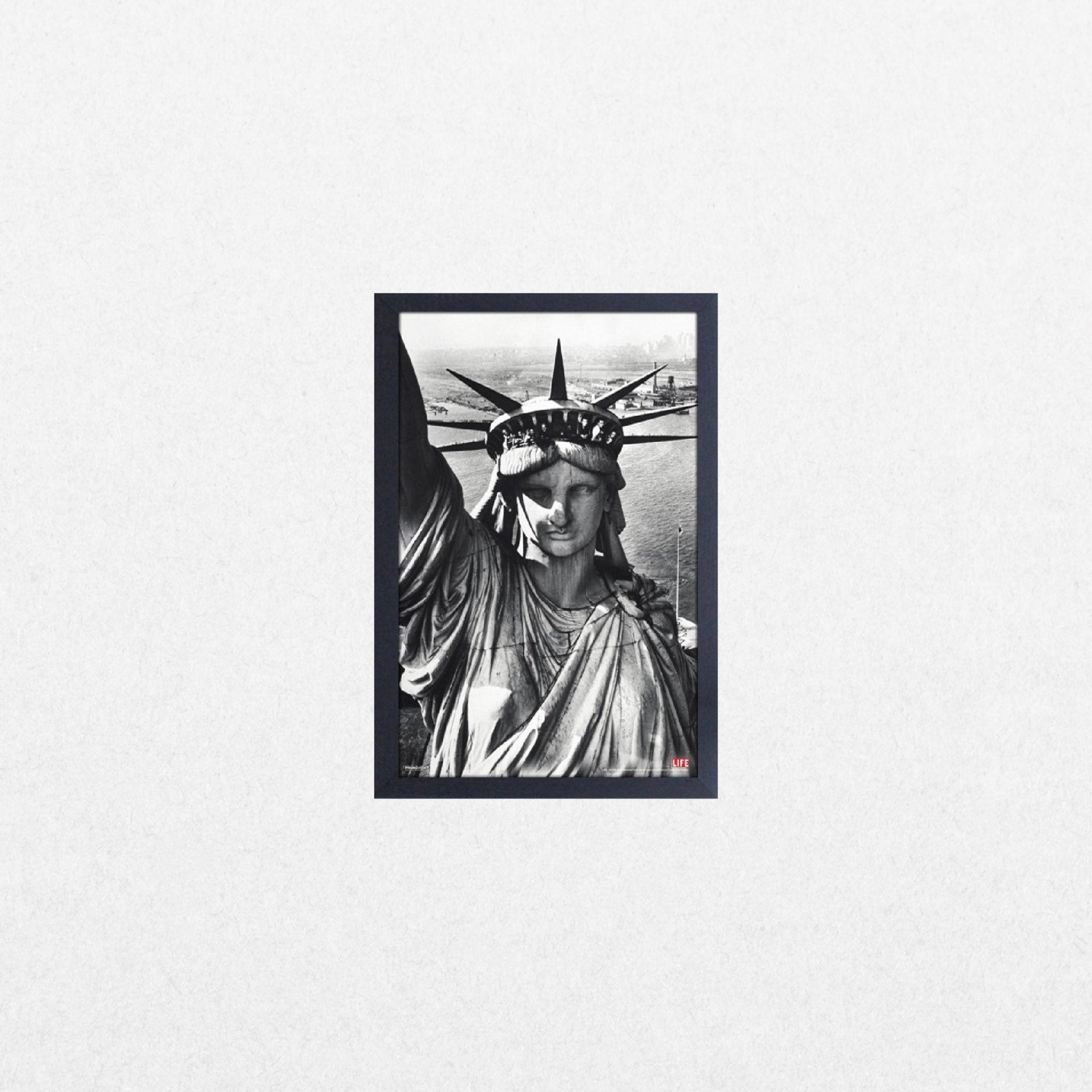 Time Life - Statue of Liberty - El Cartel