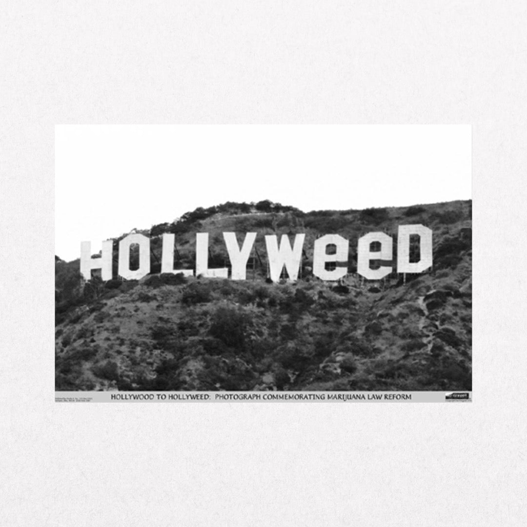 Studio B - Hollywood to Hollyweed