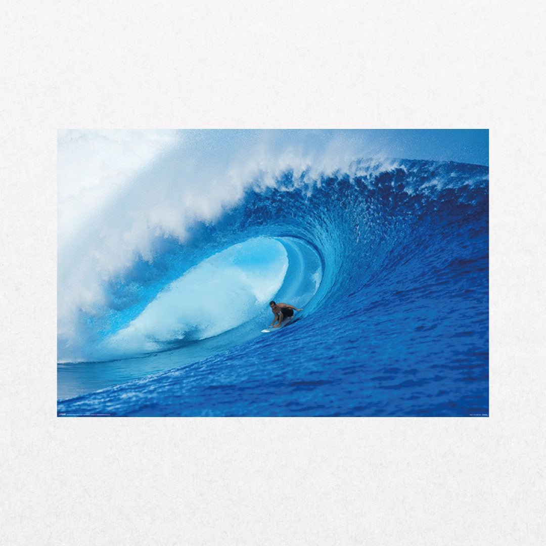 Surf - RidingtheWave - el cartel