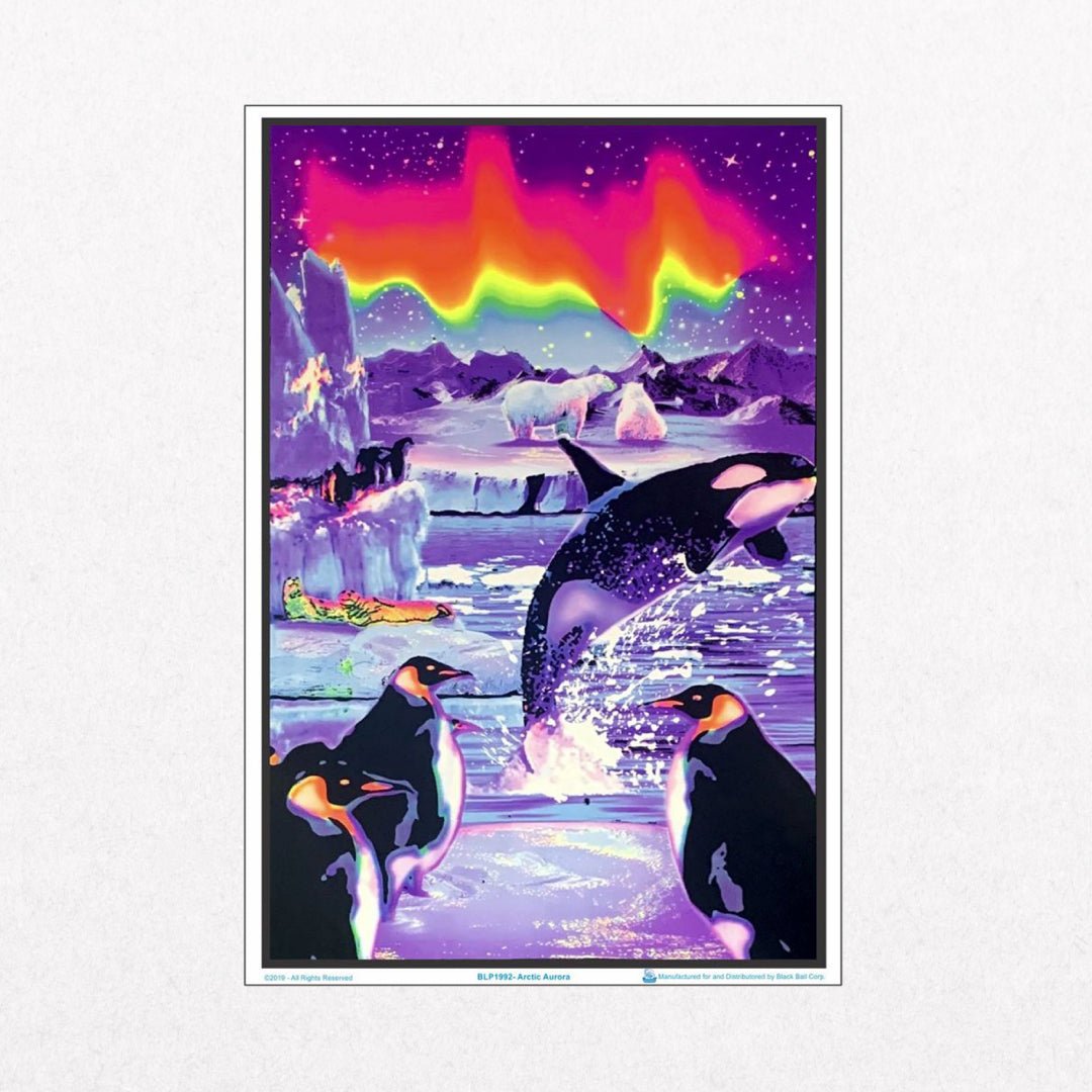 Arctic Aurora Dolphins - Blacklight - El Cartel