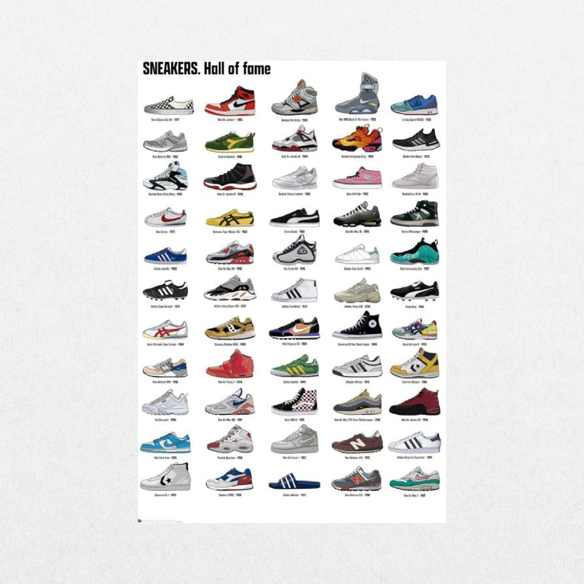 Sneakers - Evolution - El Cartel