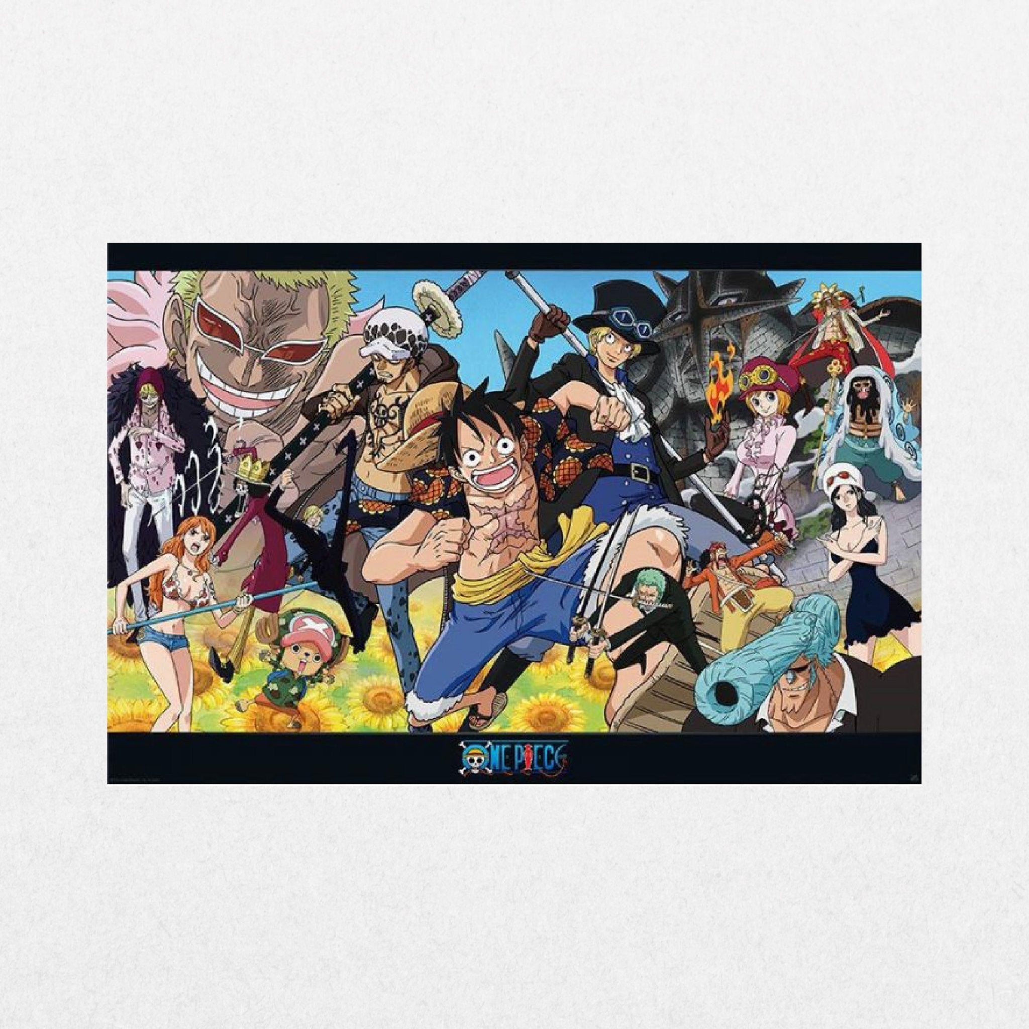 One Piece - Dressrosa - El Cartel