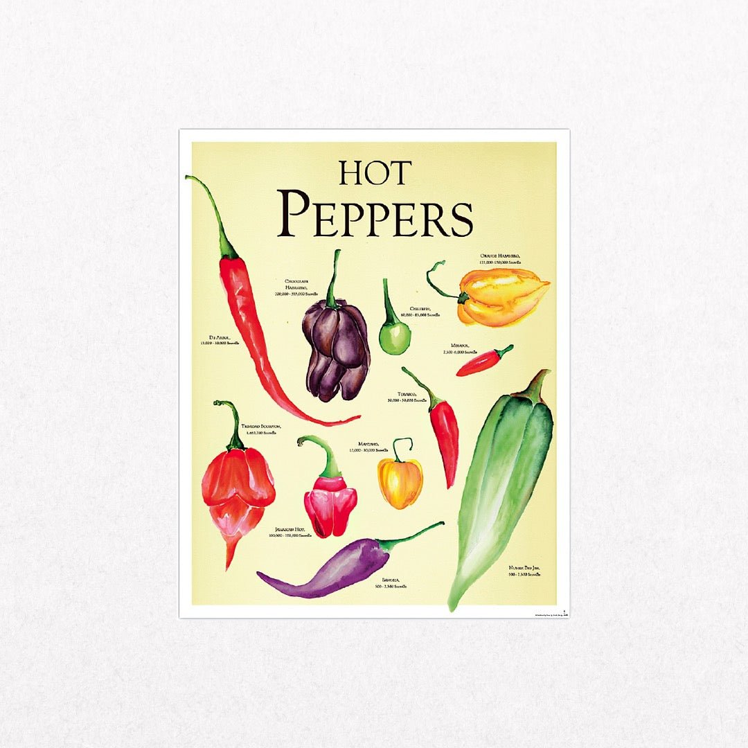 HotPepper - Spicy - el cartel