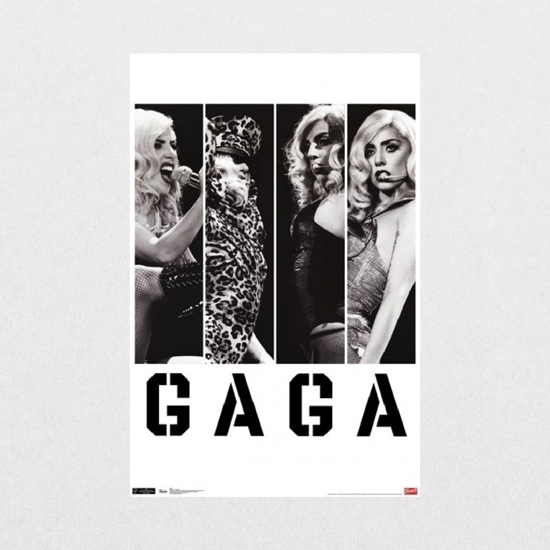 Lady Gaga - Concert