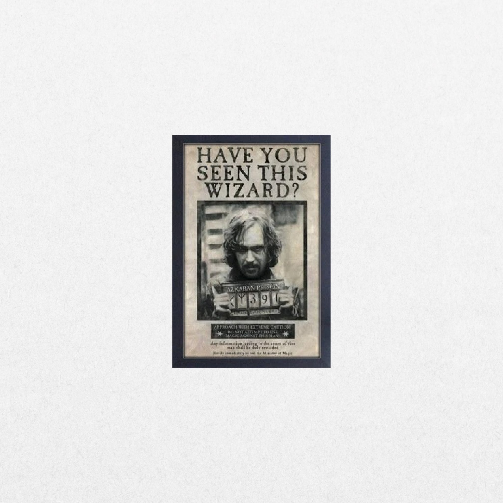 Harry Potter - Sirius Black - El Cartel