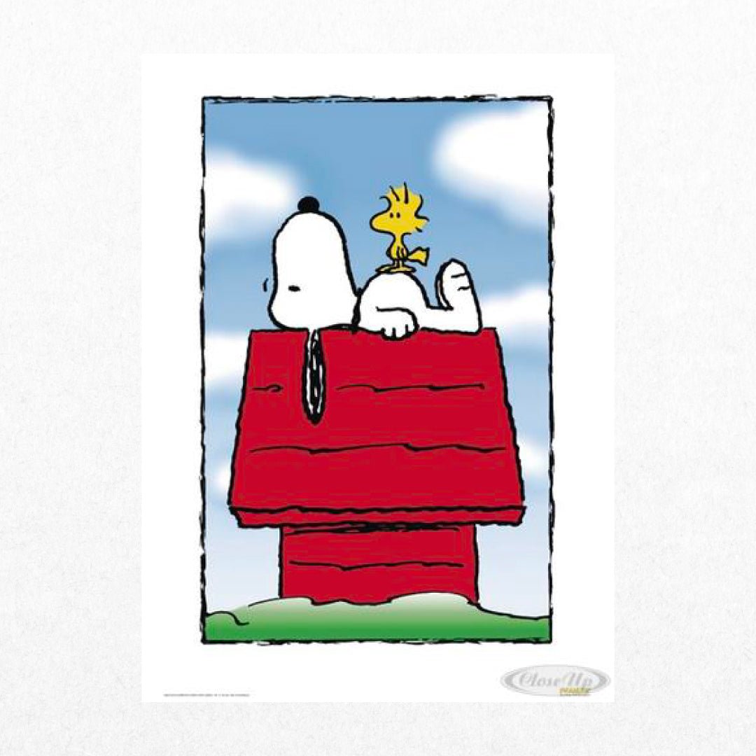 Peanuts - Snoopy - El Cartel